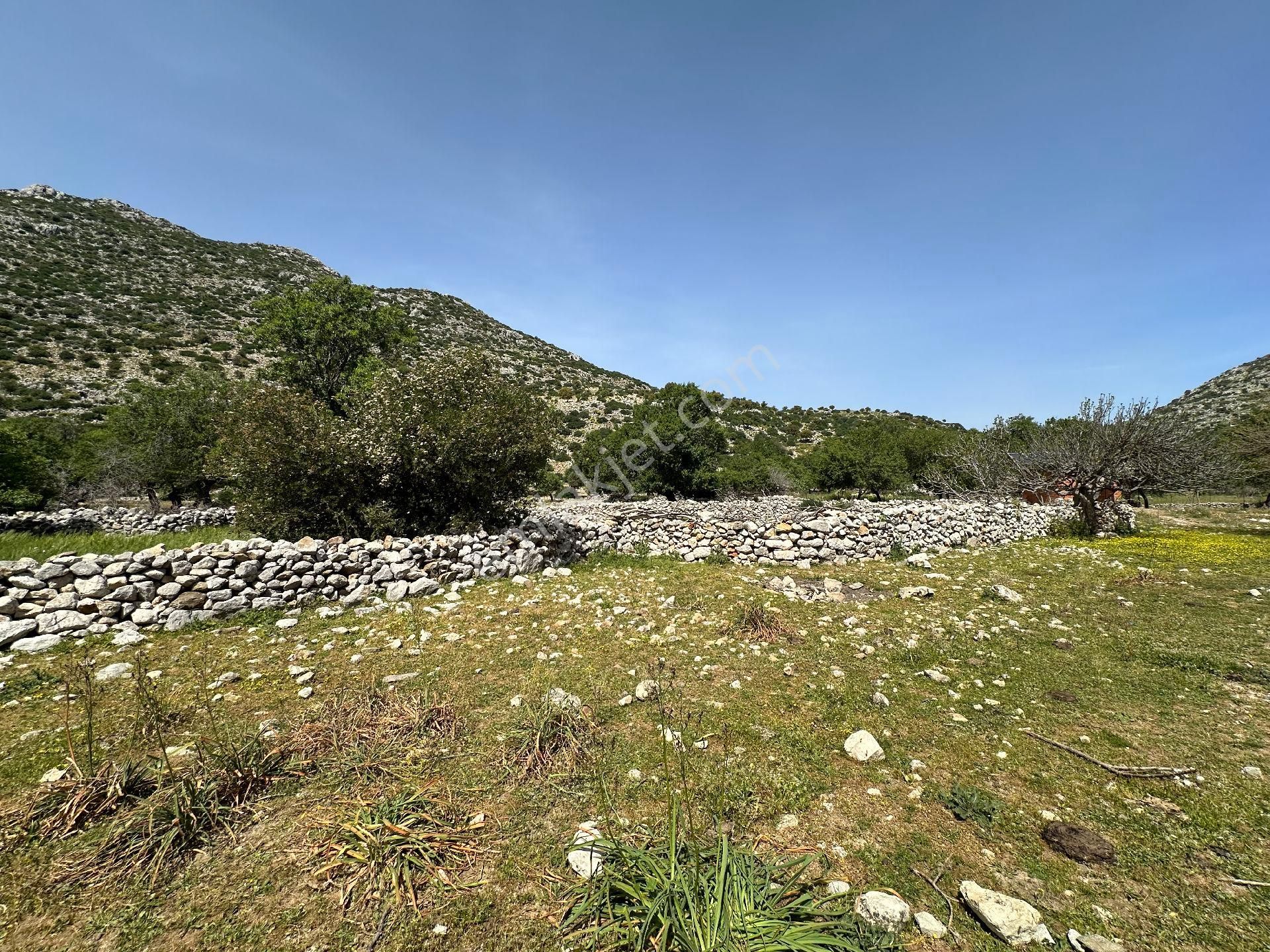 Joker: Serçe Limanı Yolunda Tiny House İçin Uygun Tarla - Görsel 8