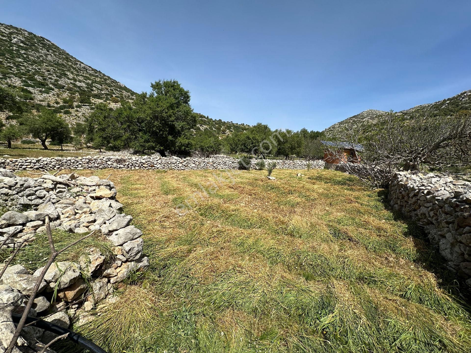 Joker: Serçe Limanı Yolunda Tiny House İçin Uygun Tarla - Görsel 10