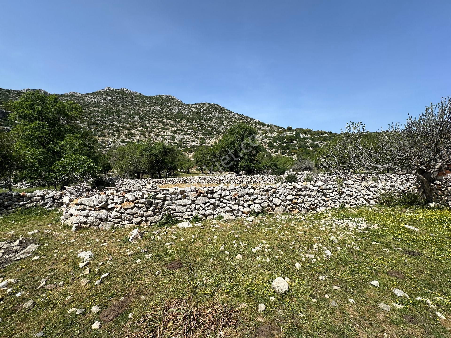 Joker: Serçe Limanı Yolunda Tiny House İçin Uygun Tarla - Görsel 11