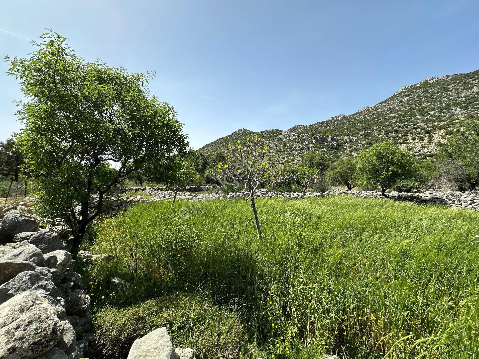 Joker: Serçe Limanı Yolunda Tiny House İçin Uygun Tarla - Görsel 13