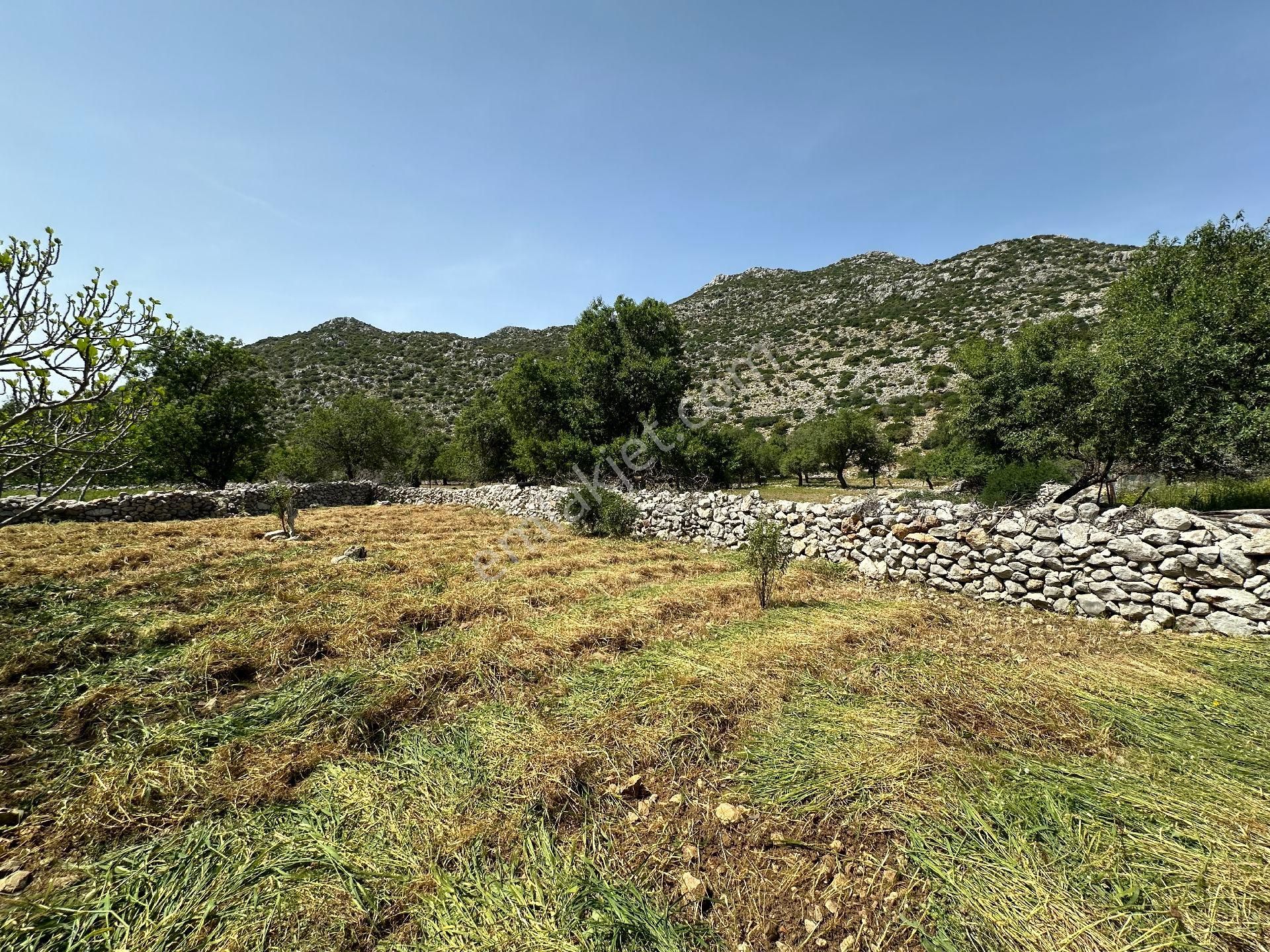 Joker: Serçe Limanı Yolunda Tiny House İçin Uygun Tarla - Görsel 7