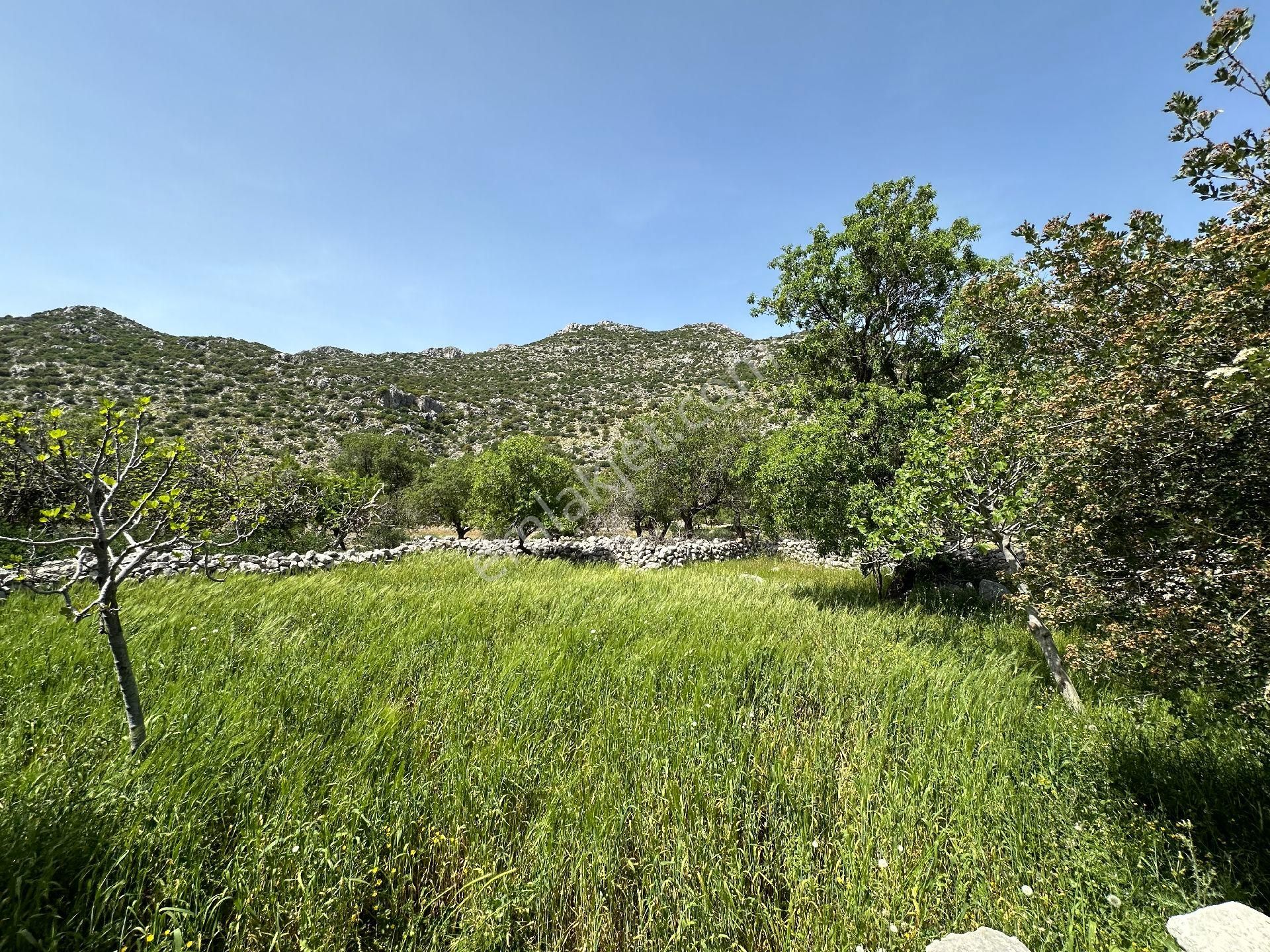 Joker: Serçe Limanı Yolunda Tiny House İçin Uygun Tarla - Görsel 2