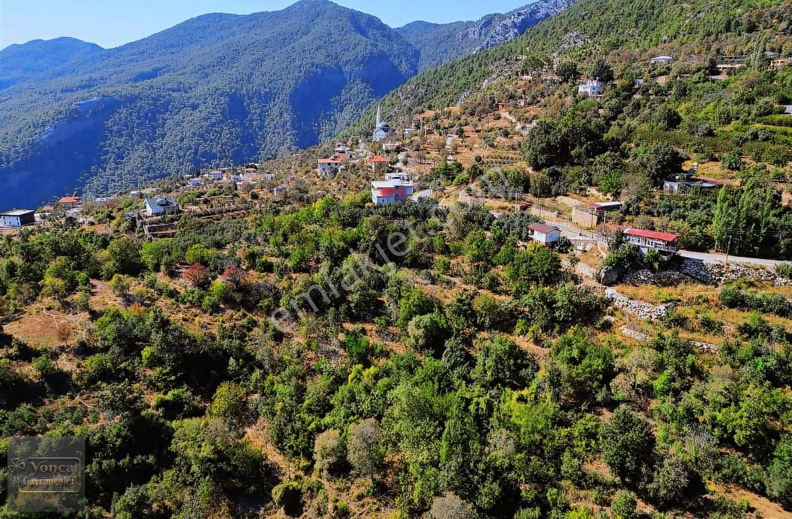 İmarlı Tek Tapu Müstakil Parsel Su Elektirik Zeytin Agacı - Görsel 5