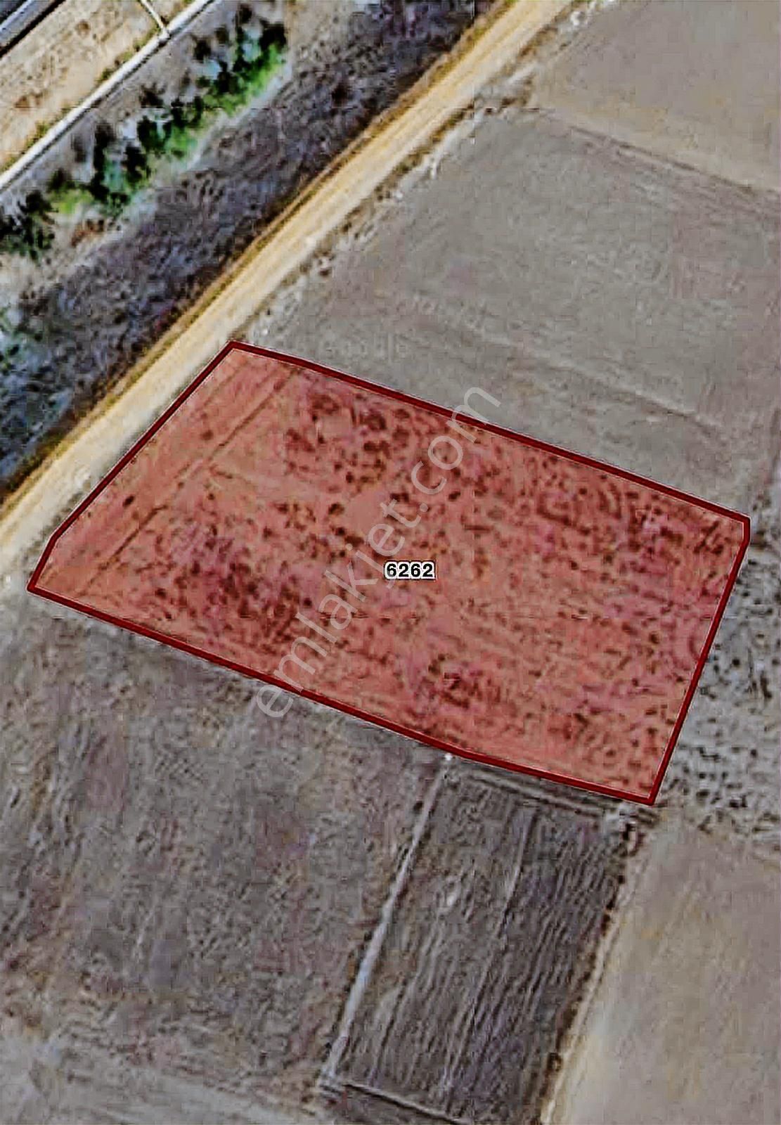 Karacabey Harmanlıda Satılık Tarla - Görsel 5