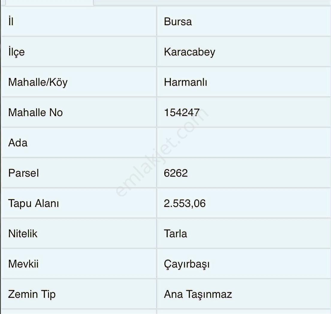 Karacabey Harmanlıda Satılık Tarla - Görsel 6