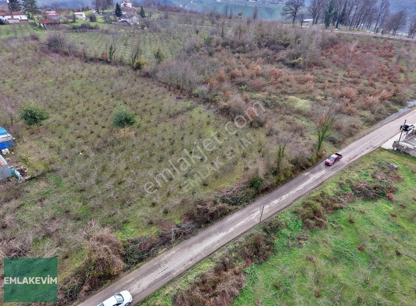 Emlakevim - Yeniköy (tagorek)de 777m2 Villa İmarlı Satılık Arsa - Görsel 15