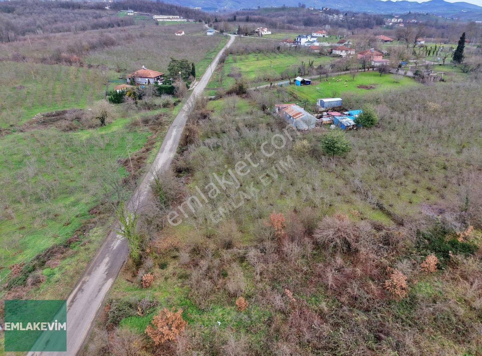 Emlakevim - Yeniköy (tagorek)de 777m2 Villa İmarlı Satılık Arsa - Görsel 6