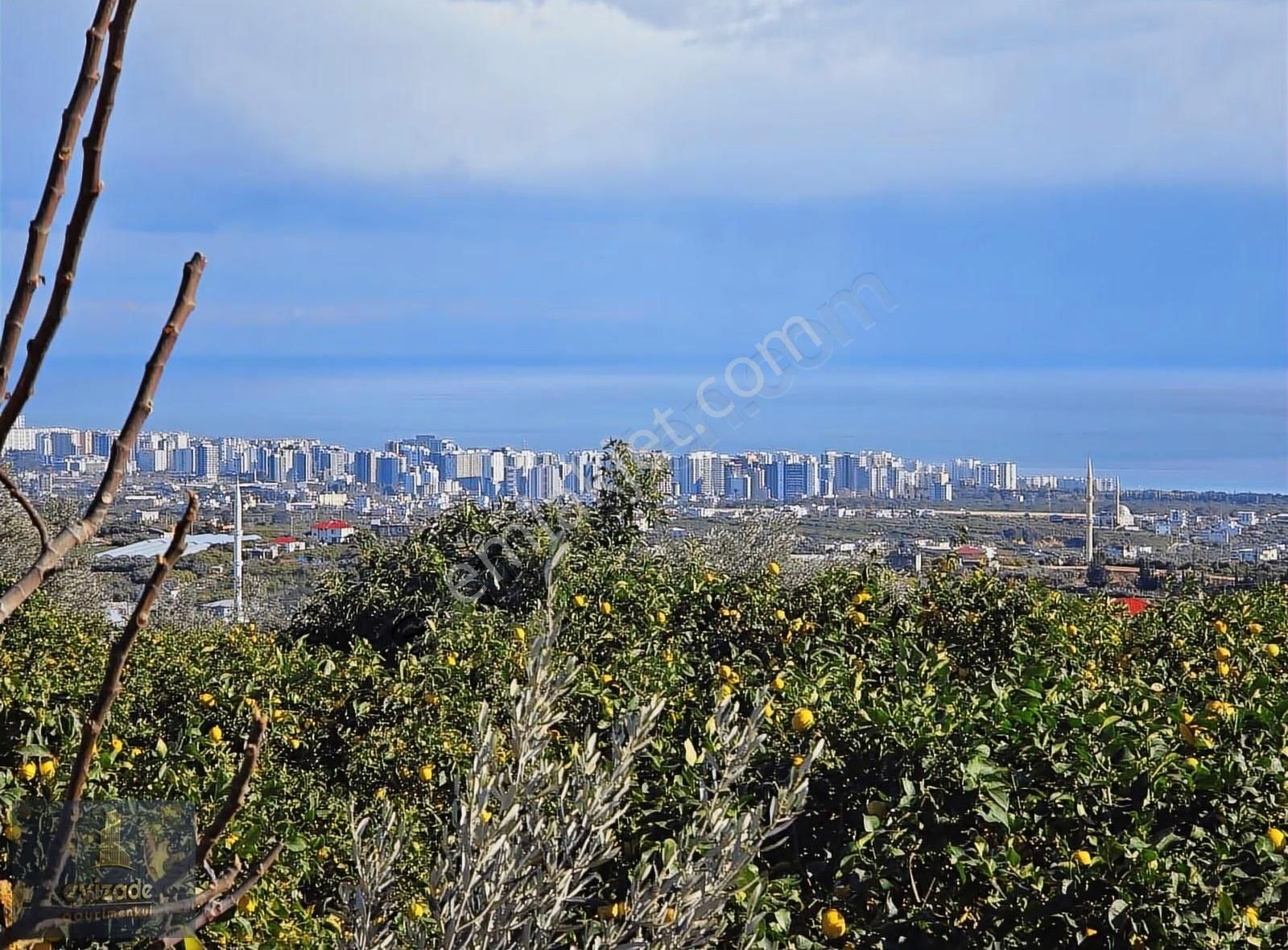Mersin Erdemli Parsel Mevkisi Satılık 5.300 M2 Limon Bahçesi - Görsel 18
