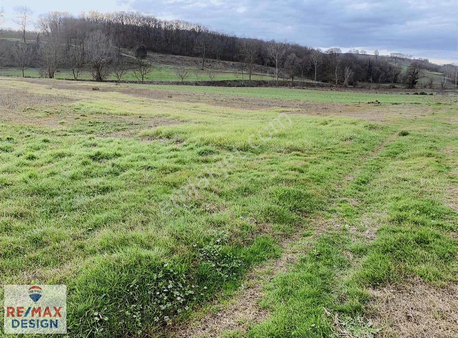 İzmit Yenice Mahallesi'nde 3721 Metre² Satılık Tarla - Görsel 5