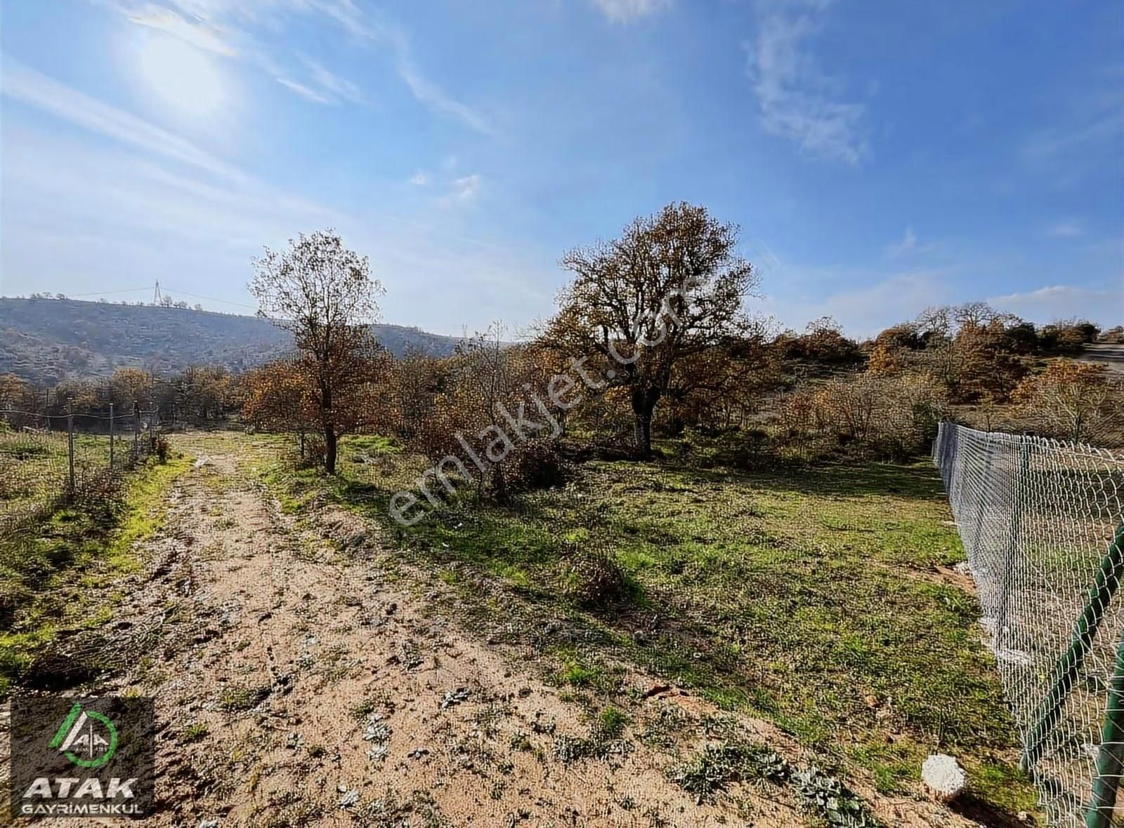Mollafenari Köyünde 515 M2 Satılık Tarla - Görsel 3