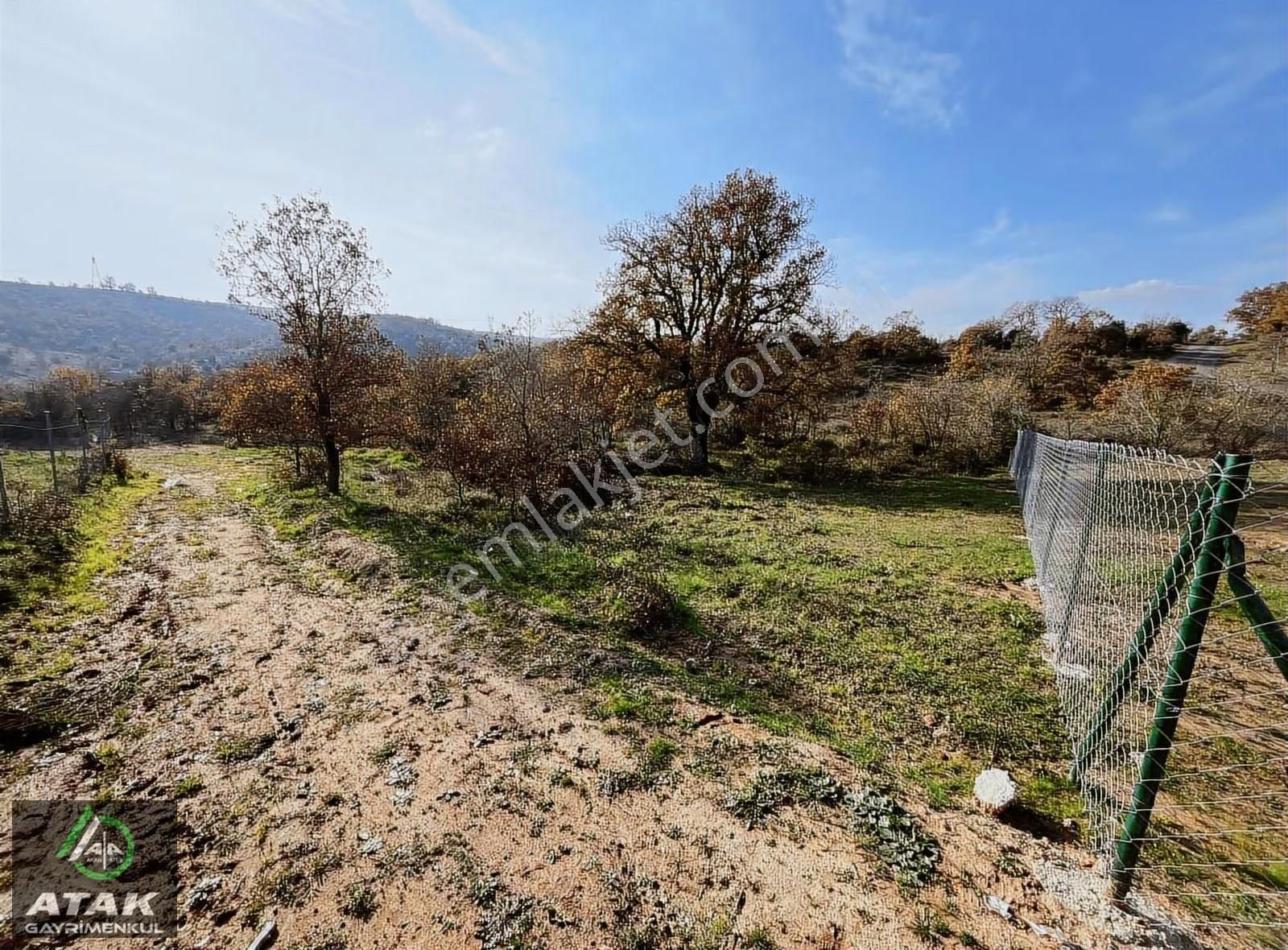 Mollafenari Köyünde 515 M2 Satılık Tarla - Görsel 4