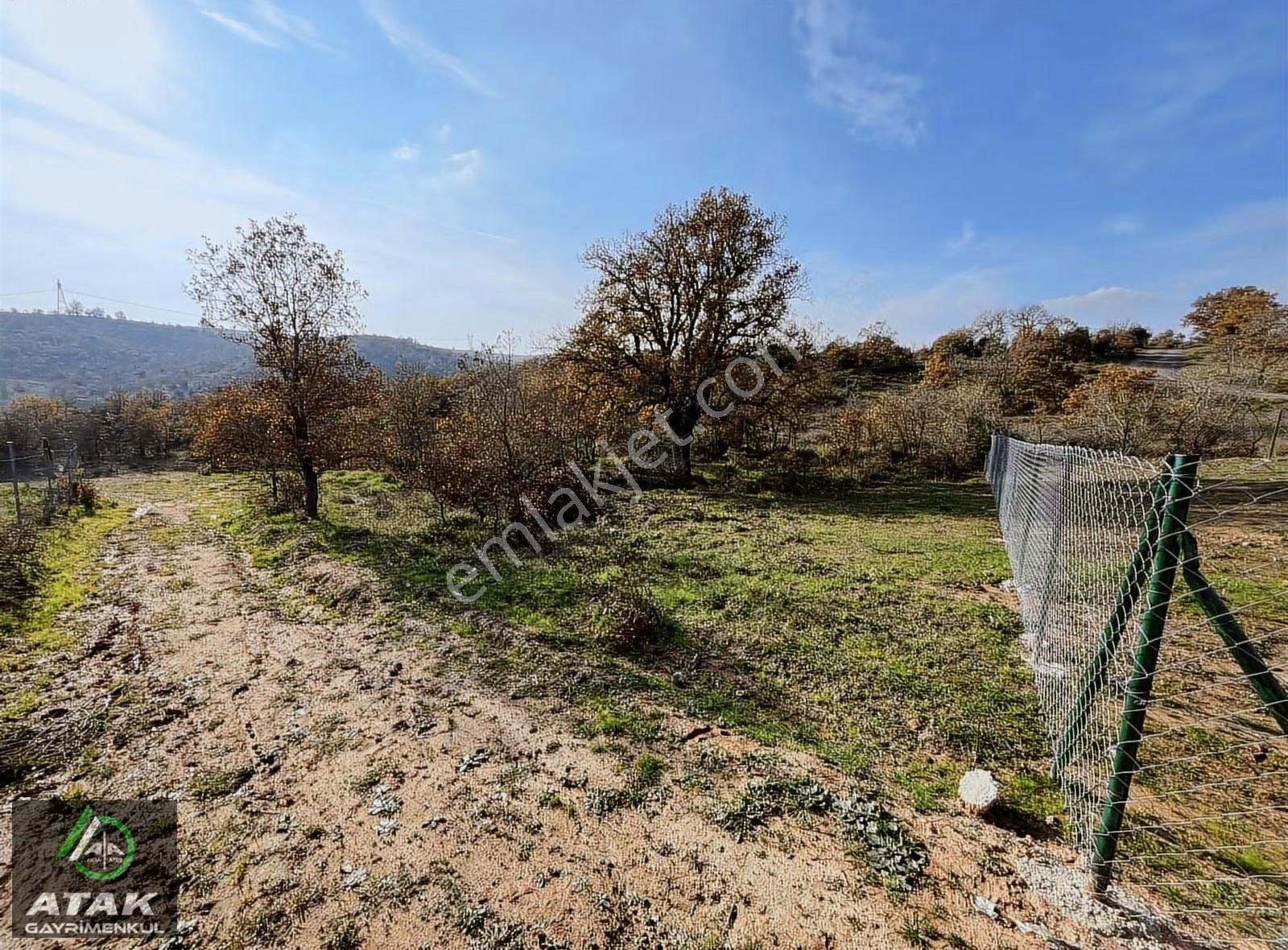 Mollafenari Köyünde 515 M2 Satılık Tarla - Görsel 2