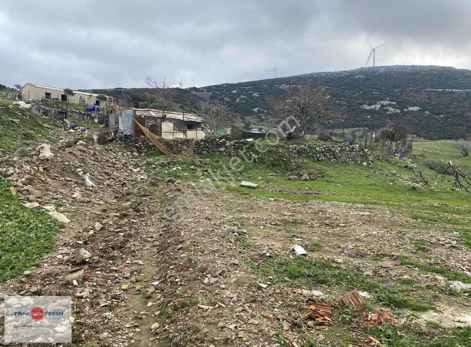 Karaburun Saip Mahallesi Manastır Mevkii Resmi Yolu Olan Tarla - Görsel 9