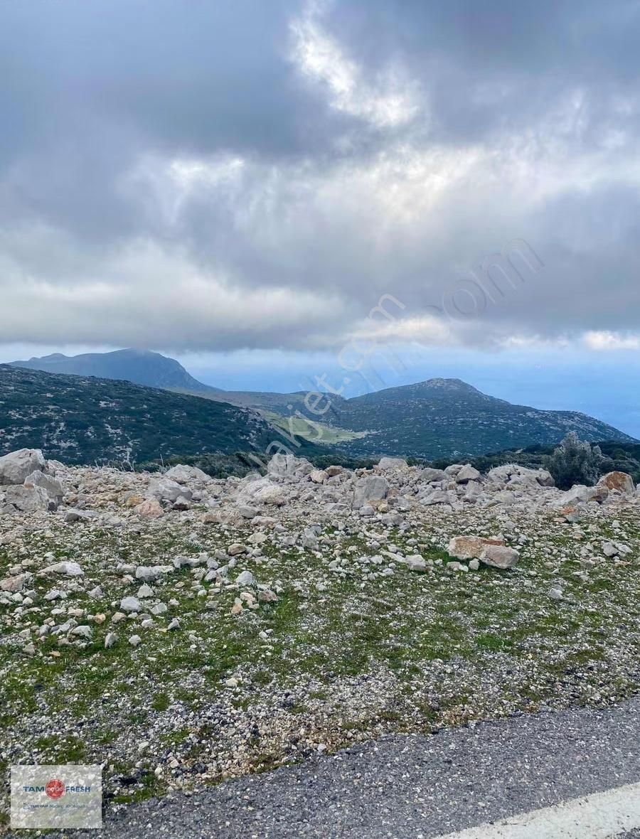 Karaburun Saip Mahallesi Manastır Mevkii Resmi Yolu Olan Tarla - Görsel 5