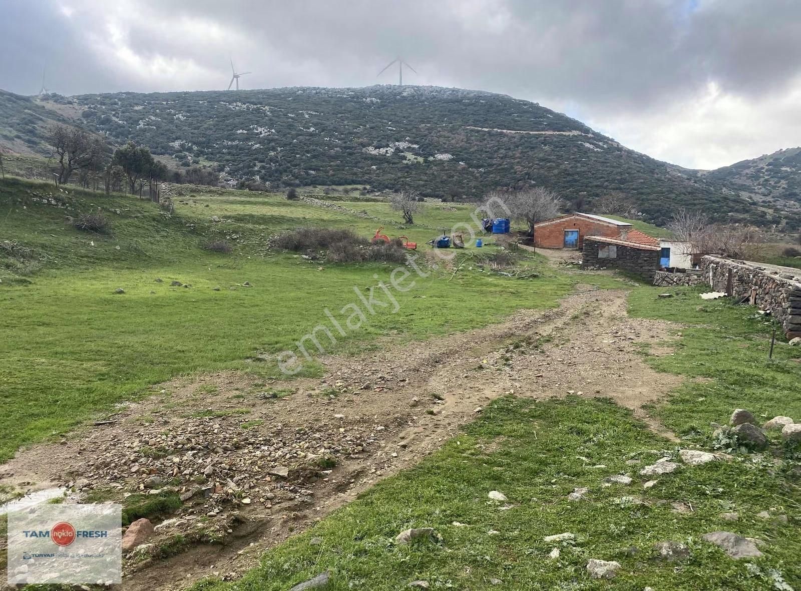 Karaburun Saip Mahallesi Manastır Mevkii Resmi Yolu Olan Tarla - Görsel 7