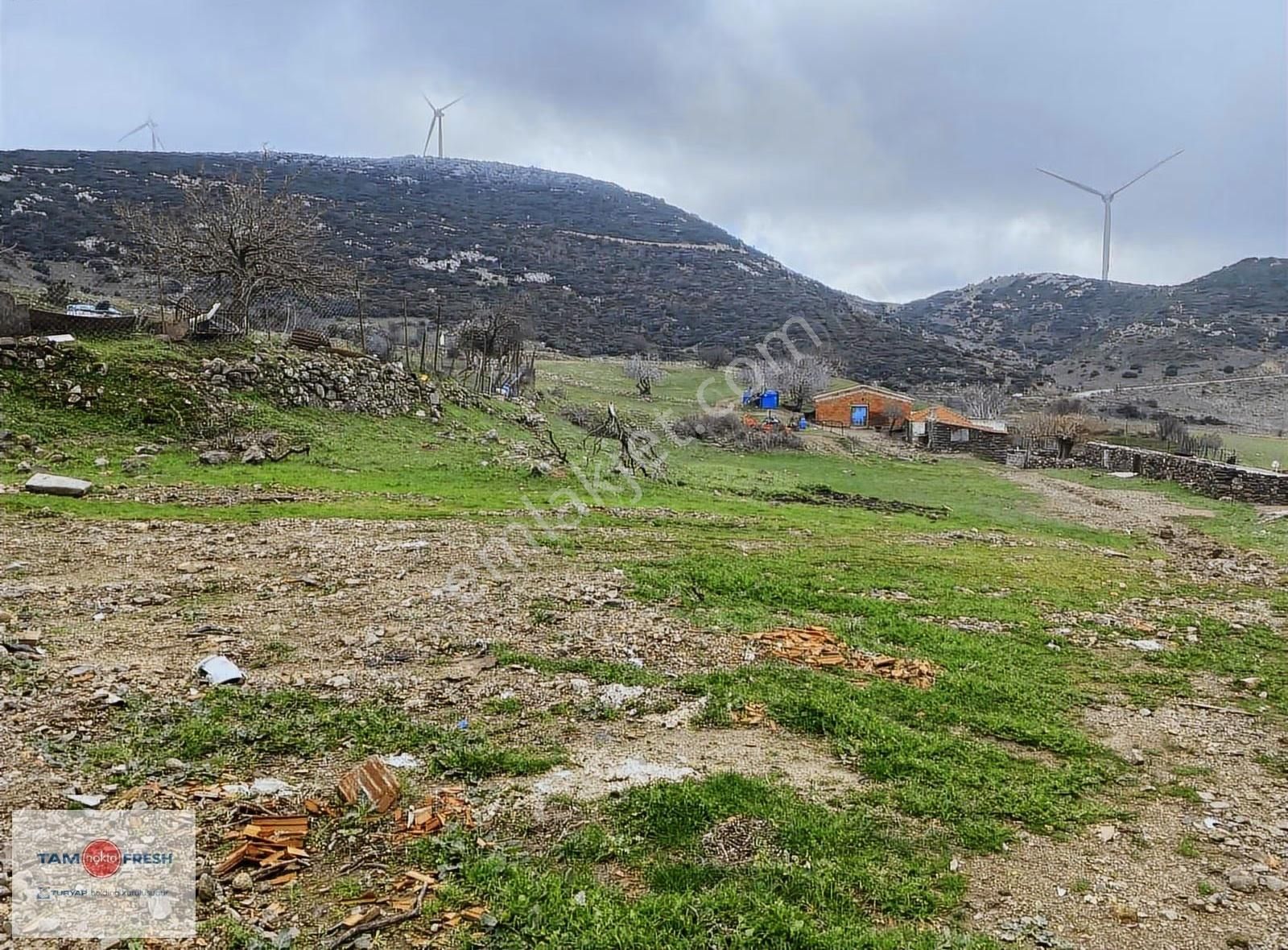 Karaburun Saip Mahallesi Manastır Mevkii Resmi Yolu Olan Tarla
