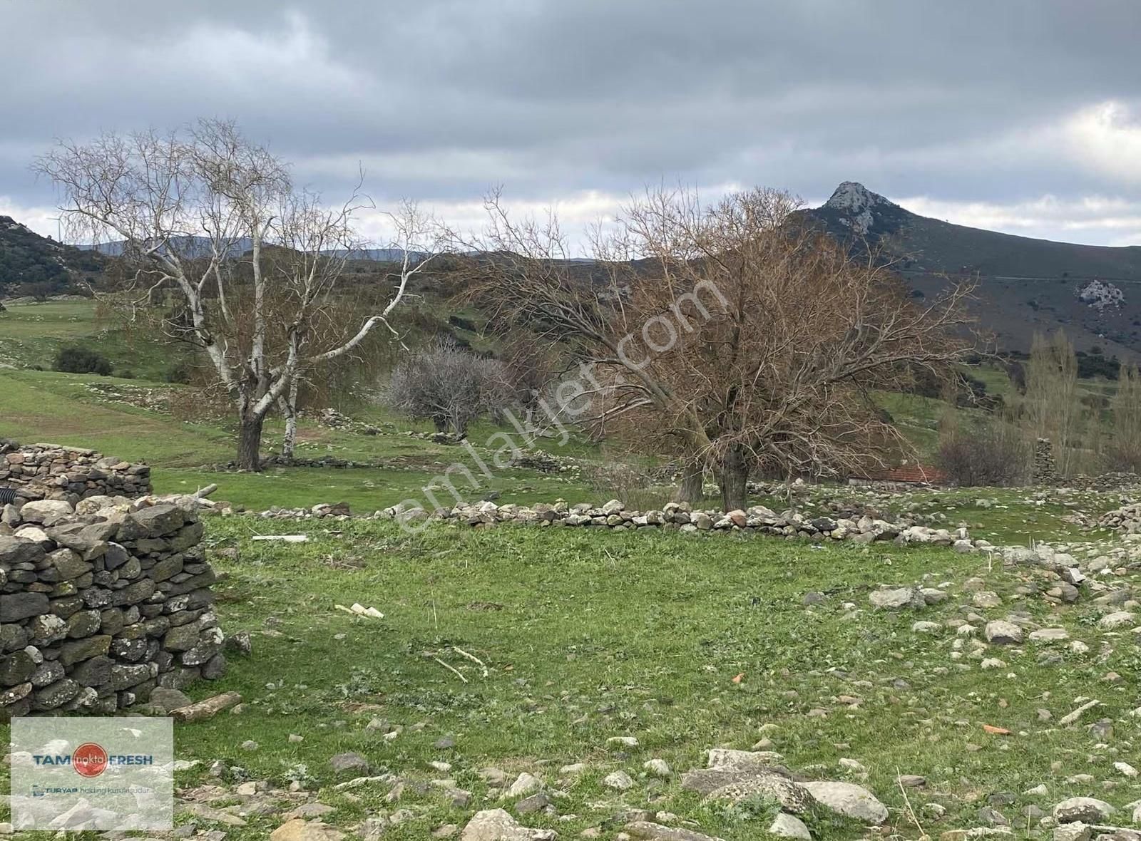 Karaburun Saip Mahallesi Manastır Mevkii Resmi Yolu Olan Tarla - Görsel 2