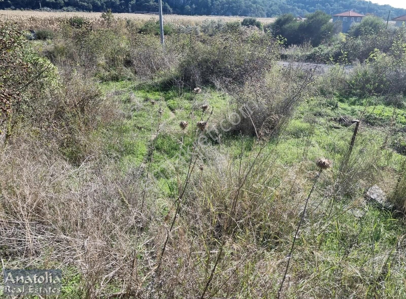 Sarıgerme De İmarlı Satılık Arsa - Görsel 2