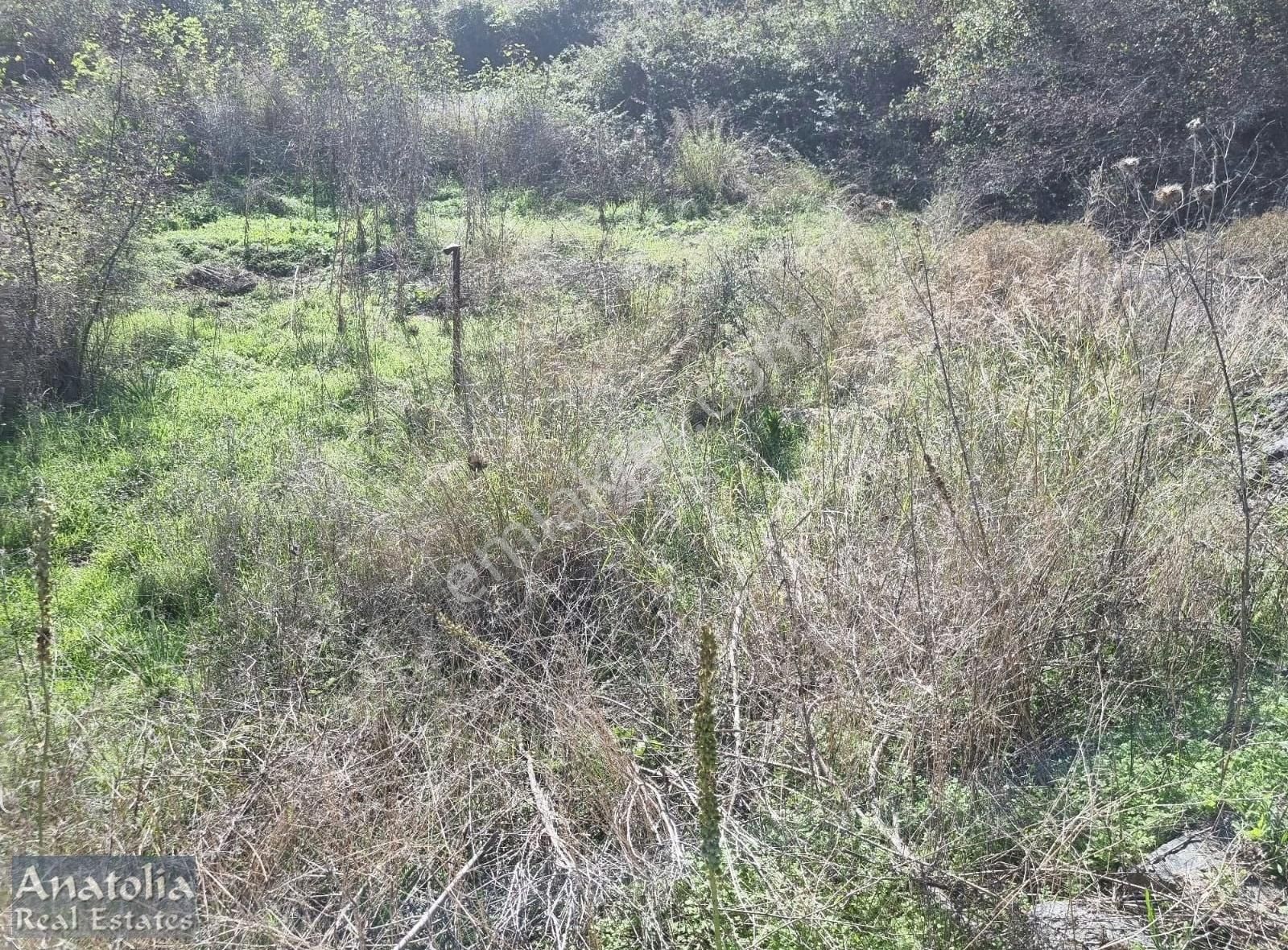 Sarıgerme De İmarlı Satılık Arsa - Görsel 3
