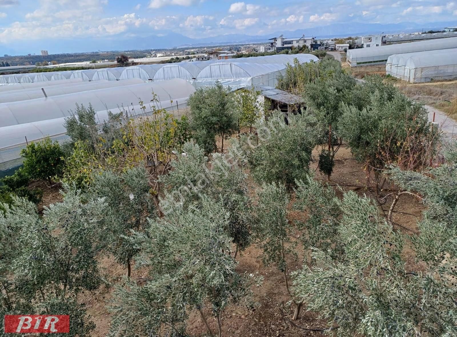 Satlık Arsa Tarla Müstakil Ev Mandırlar Aksu Antalya - Görsel 30