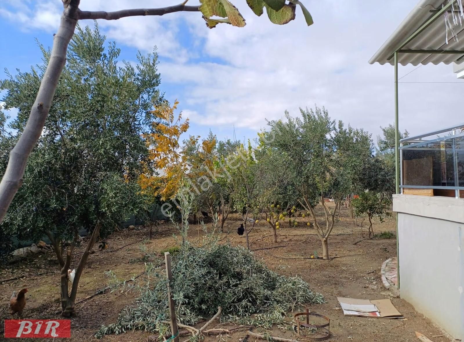 Satlık Arsa Tarla Müstakil Ev Mandırlar Aksu Antalya - Görsel 18