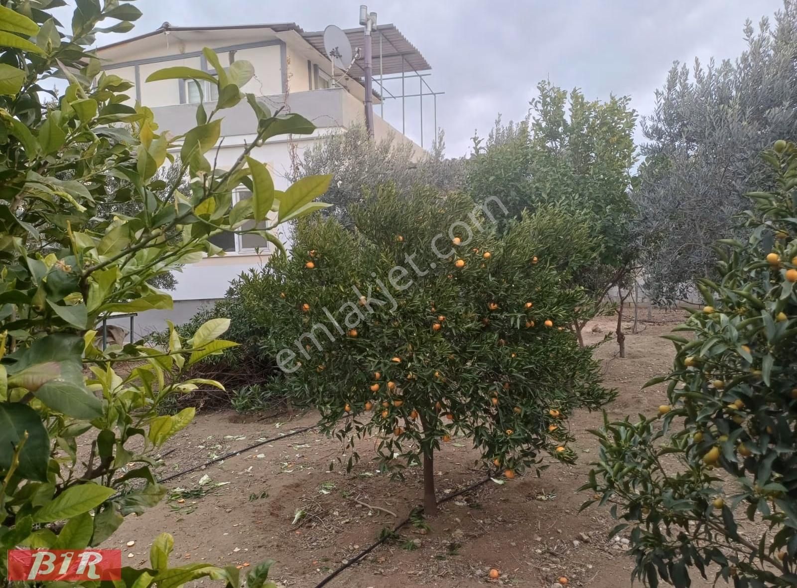 Satlık Arsa Tarla Müstakil Ev Mandırlar Aksu Antalya - Görsel 9