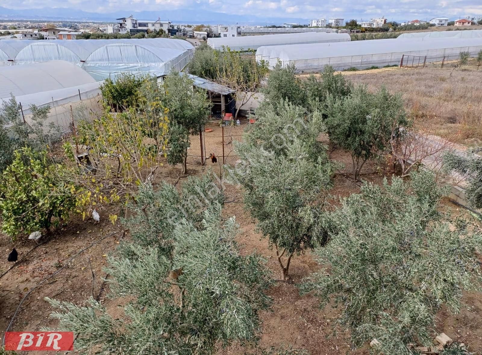 Satlık Arsa Tarla Müstakil Ev Mandırlar Aksu Antalya - Görsel 25