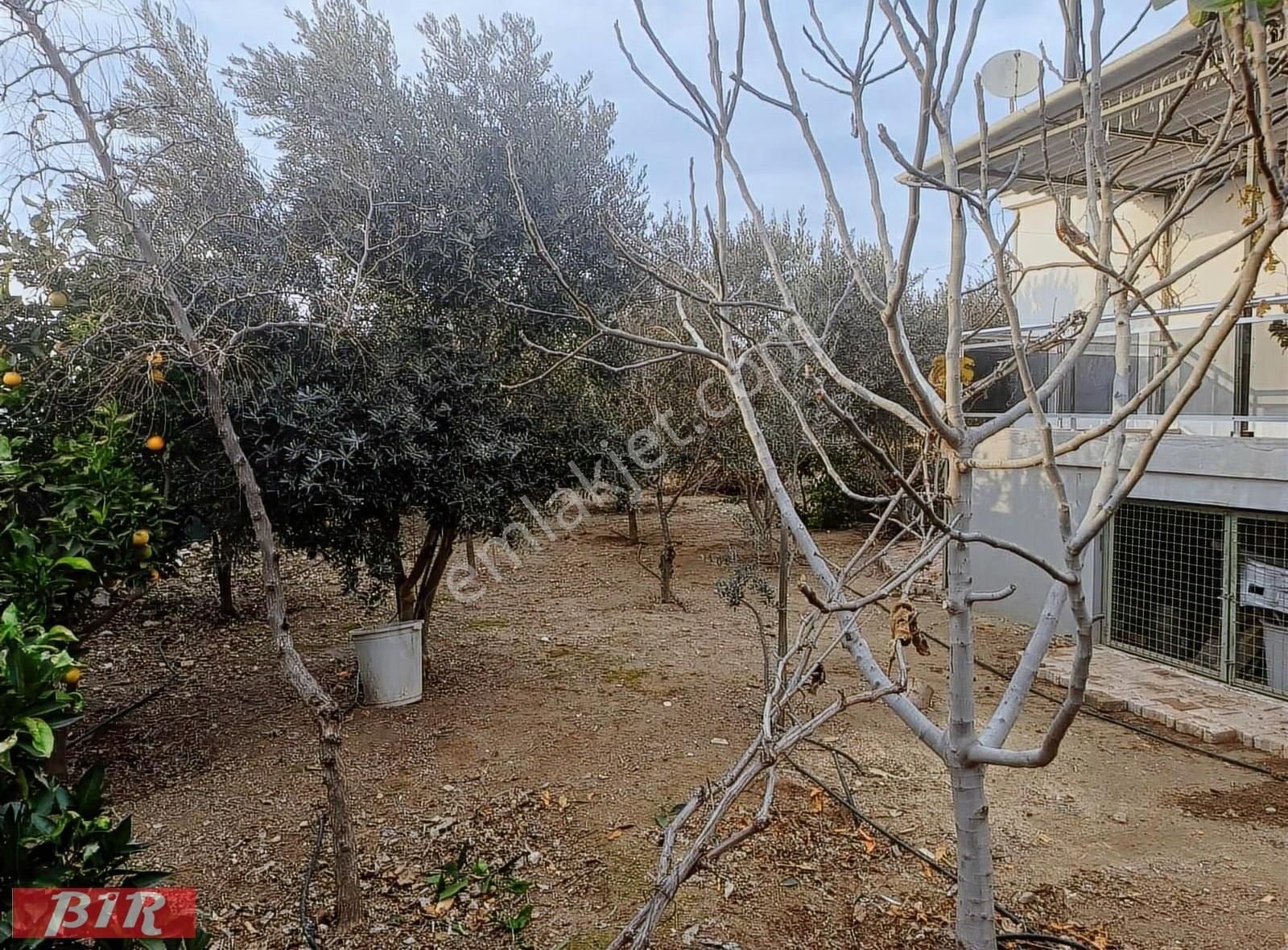 Satlık Arsa Tarla Müstakil Ev Mandırlar Aksu Antalya - Görsel 12