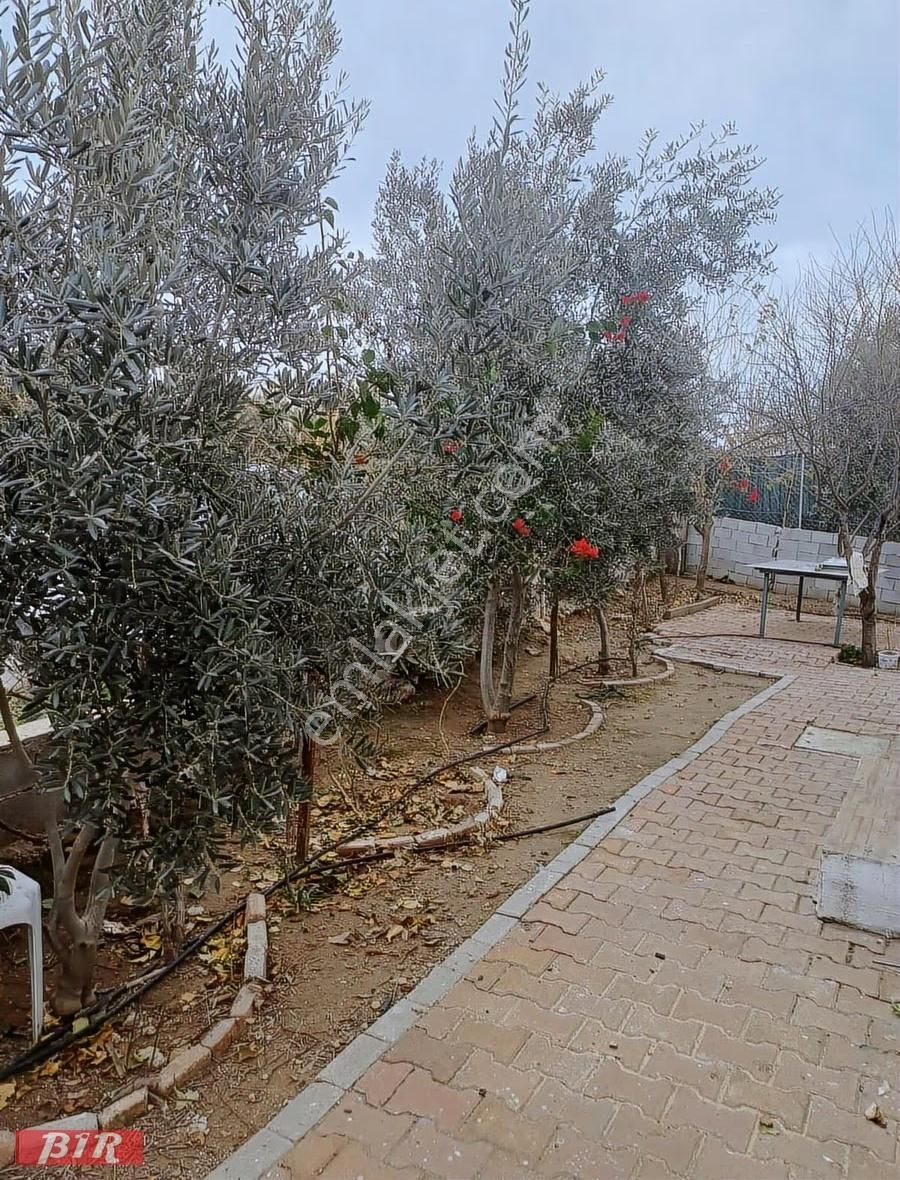 Satlık Arsa Tarla Müstakil Ev Mandırlar Aksu Antalya - Görsel 26