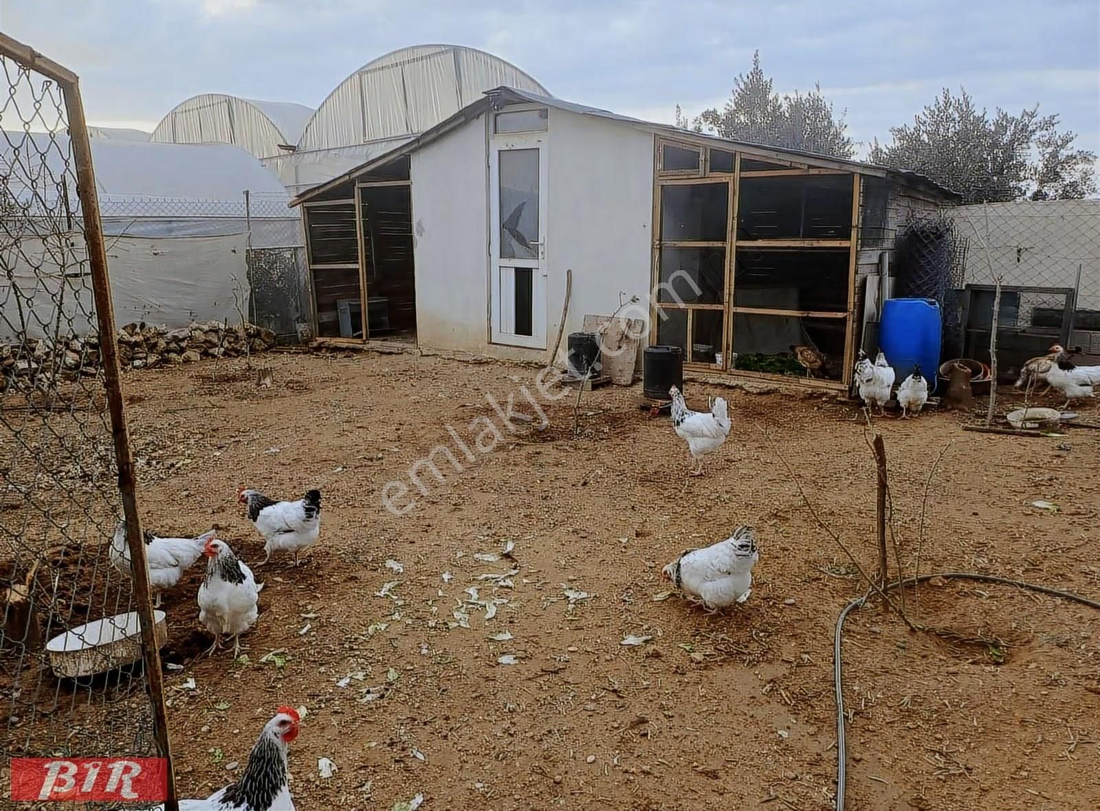 Satlık Arsa Tarla Müstakil Ev Mandırlar Aksu Antalya - Görsel 10