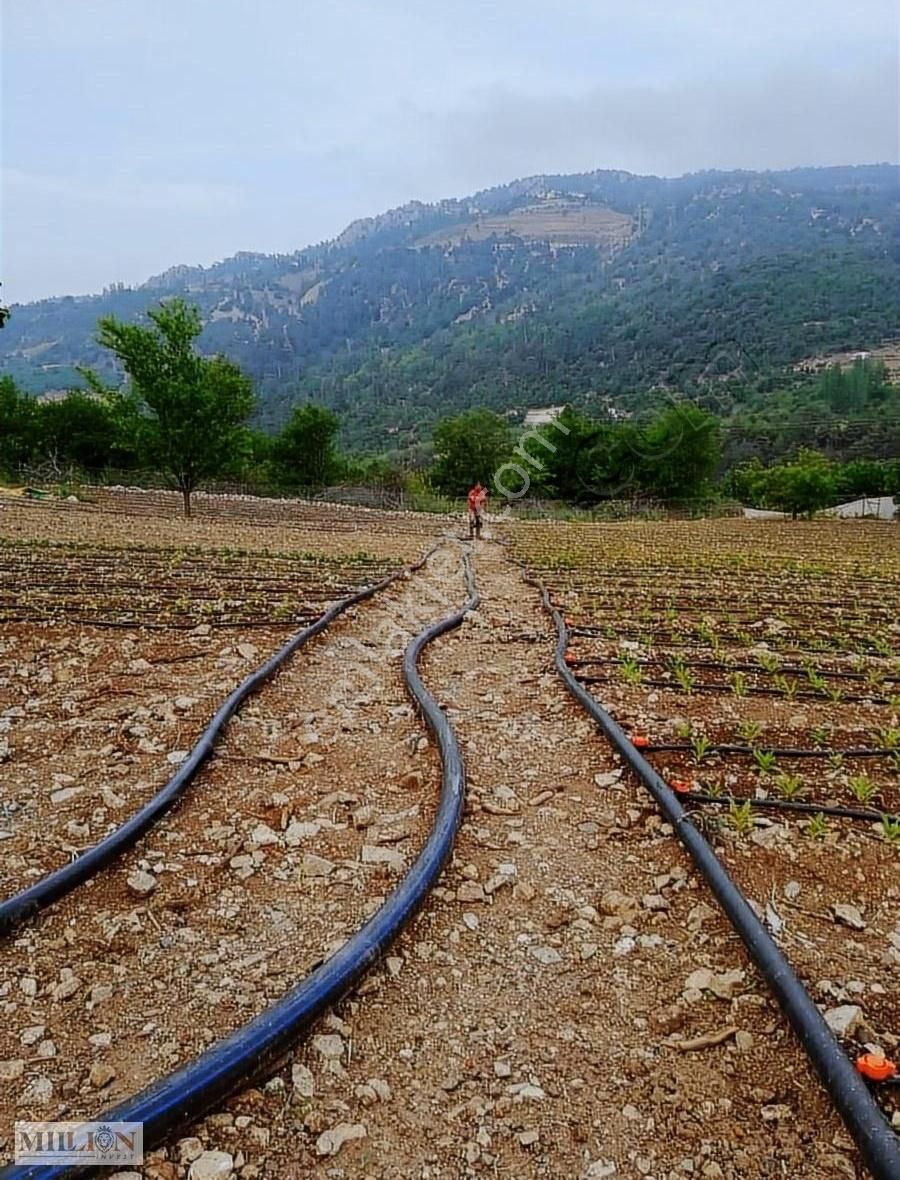Konyaaltı Doyranda Satılık 5460m2 Tek Tapu Ev Ve Bahçe - Görsel 3
