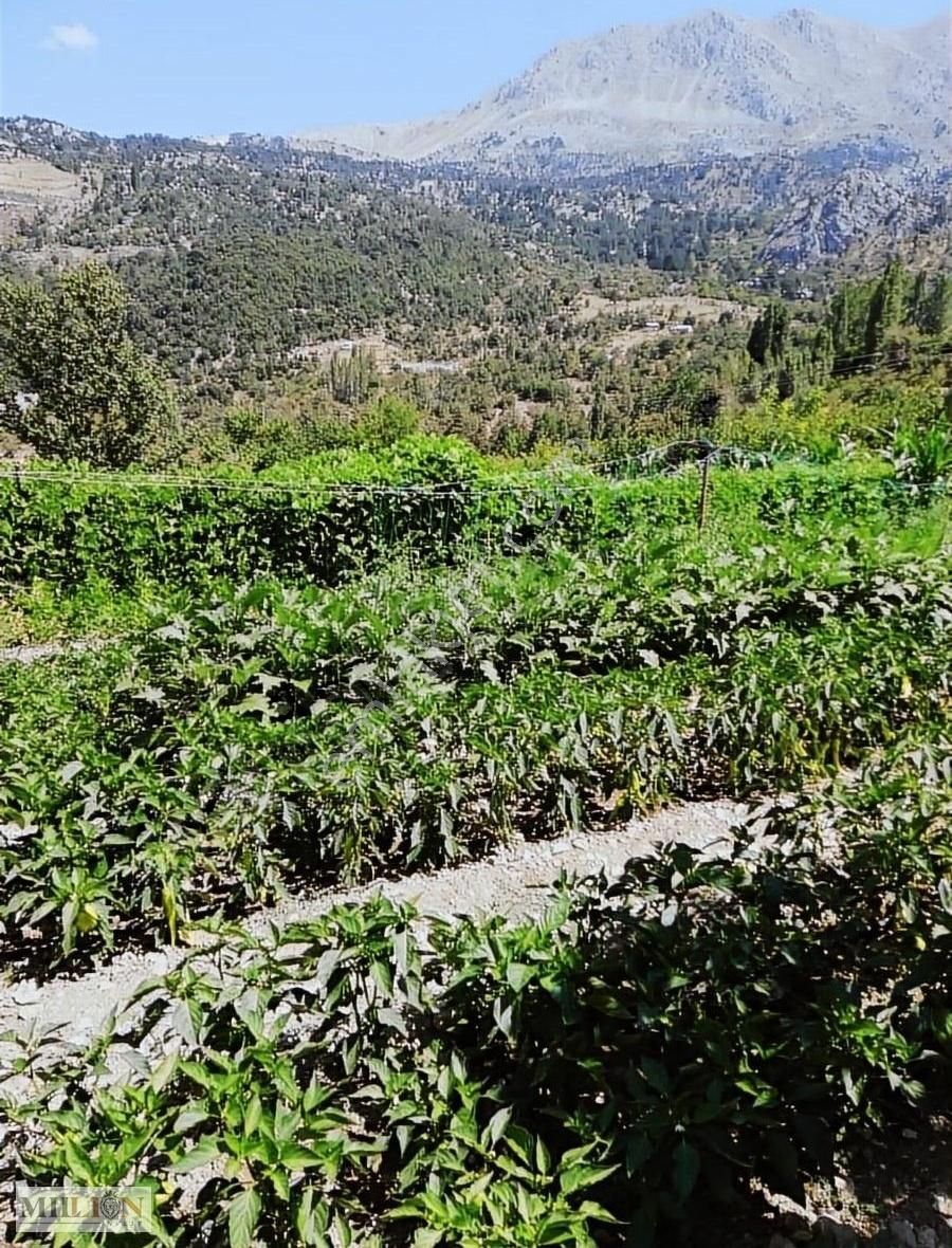 Konyaaltı Doyranda Satılık 5460m2 Tek Tapu Ev Ve Bahçe - Görsel 10