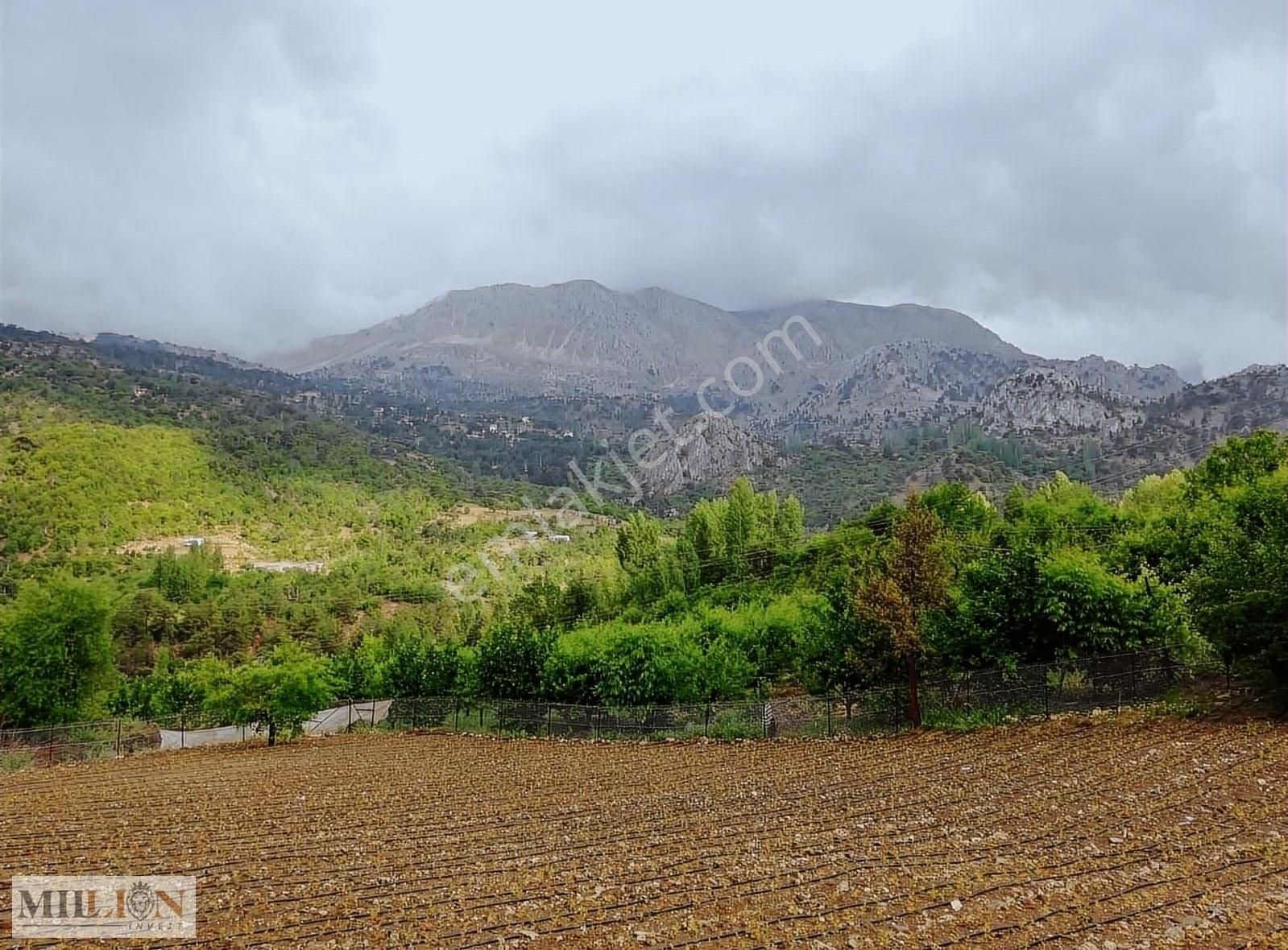 Konyaaltı Doyranda Satılık 5460m2 Tek Tapu Ev Ve Bahçe - Görsel 16