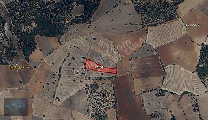 Mustafa Karadan Derbent Merkezde Satılık 6044 M2 Müstakil Parsel - Görsel 5