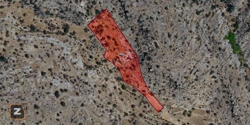 İncesu Bahçesaray Da 3771 M2 Yatırımlık Bağ