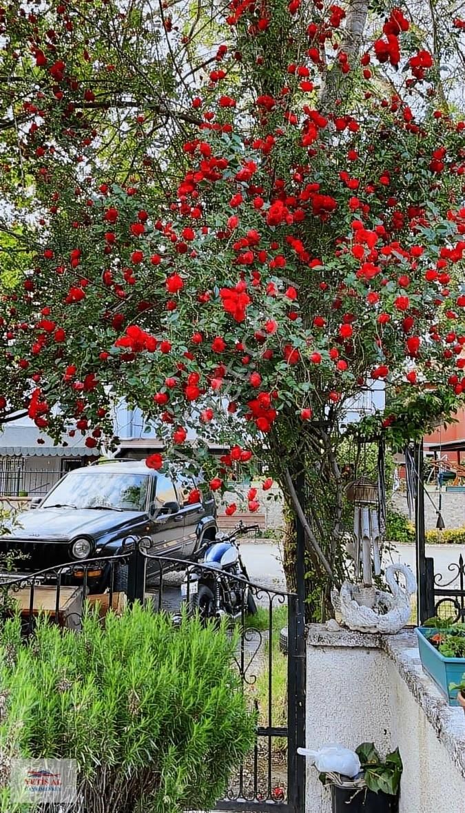 Yetiş Al Dan Kumbaba Da Plaja Çok Yakın 120 M2 3+1 Satılık Villa - Görsel 16