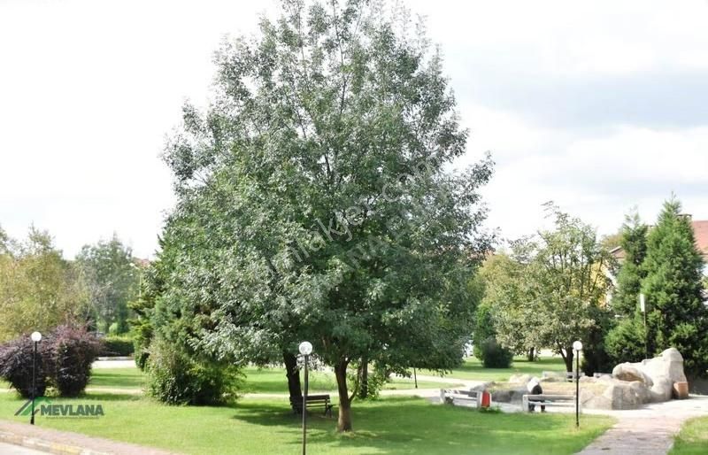 Mevlana Emlaktan Kuzuluk Kaplıca Evlerinde Kiralık Daire - Görsel 10