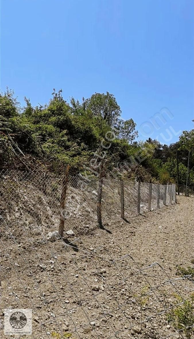 Şile Ağva Çelebi Köy Merkezinde Asfalt Yola Cephe 1394m2 Arazi - Görsel 17