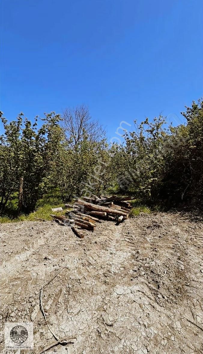 Şile Ağva Çelebi Köy Merkezinde Asfalt Yola Cephe 1394m2 Arazi - Görsel 14