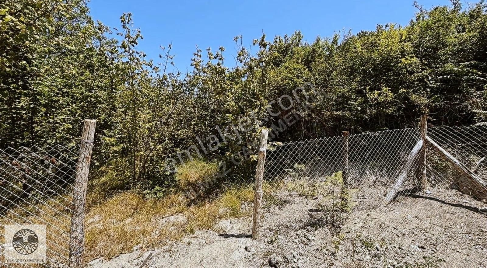 Şile Ağva Çelebi Köy Merkezinde Asfalt Yola Cephe 1394m2 Arazi - Görsel 29