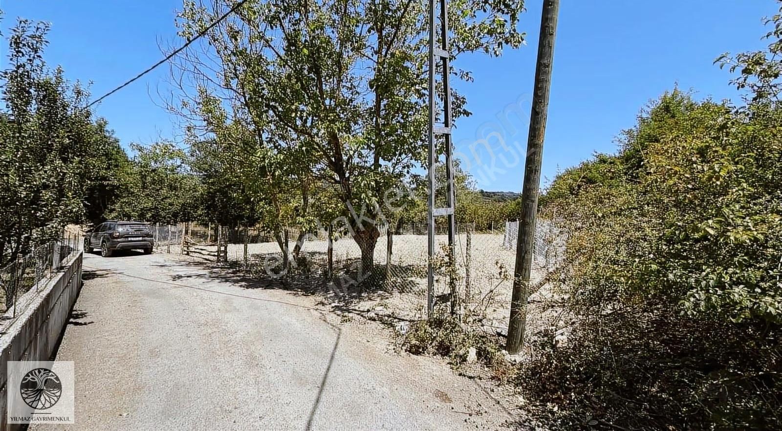 Şile Ağva Çelebi Köy Merkezinde Asfalt Yola Cephe 1394m2 Arazi - Görsel 3