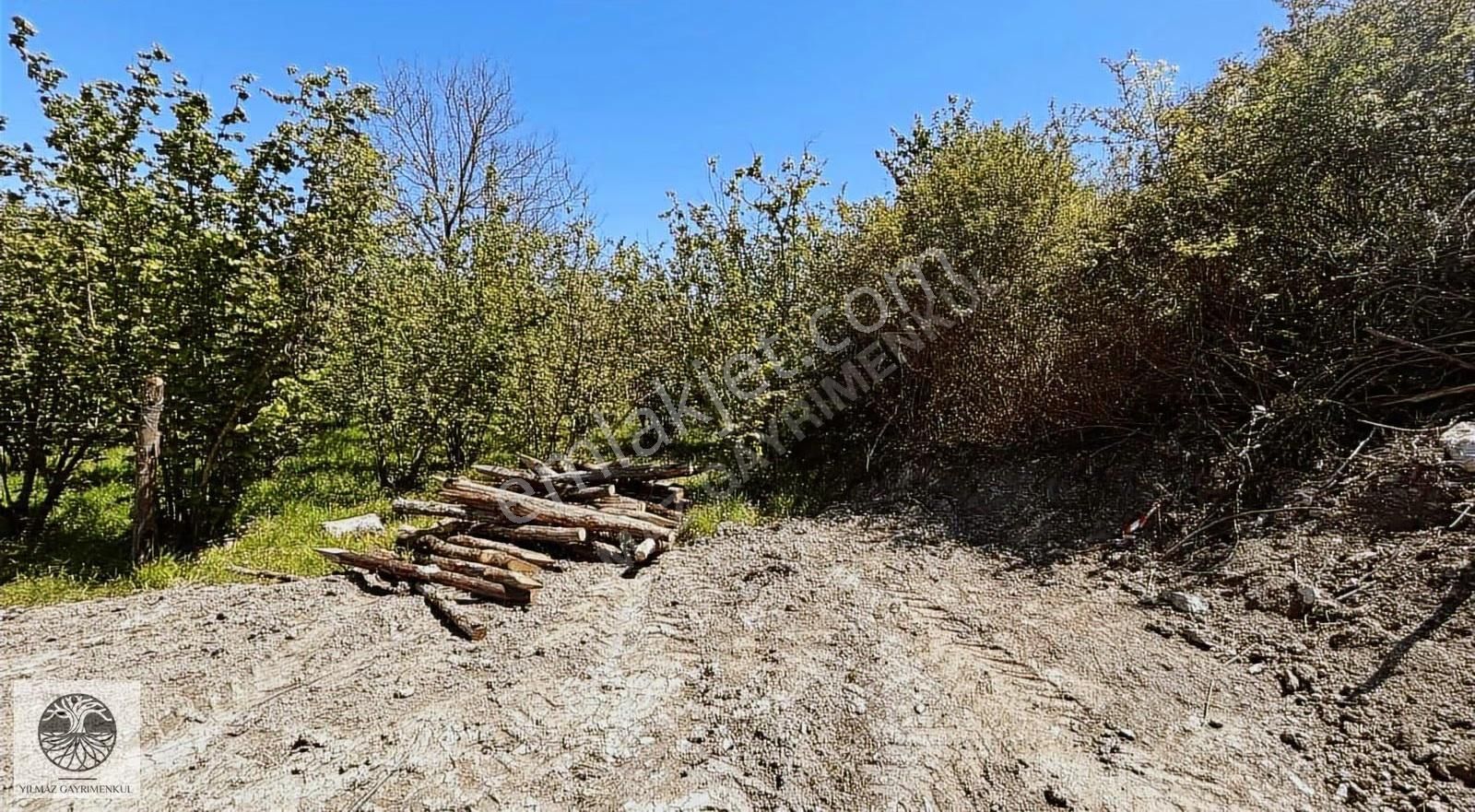 Şile Ağva Çelebi Köy Merkezinde Asfalt Yola Cephe 1394m2 Arazi - Görsel 26