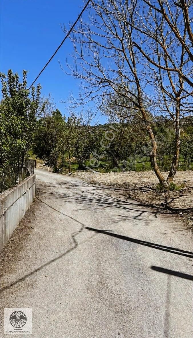 Şile Ağva Çelebi Köy Merkezinde Asfalt Yola Cephe 1394m2 Arazi - Görsel 6