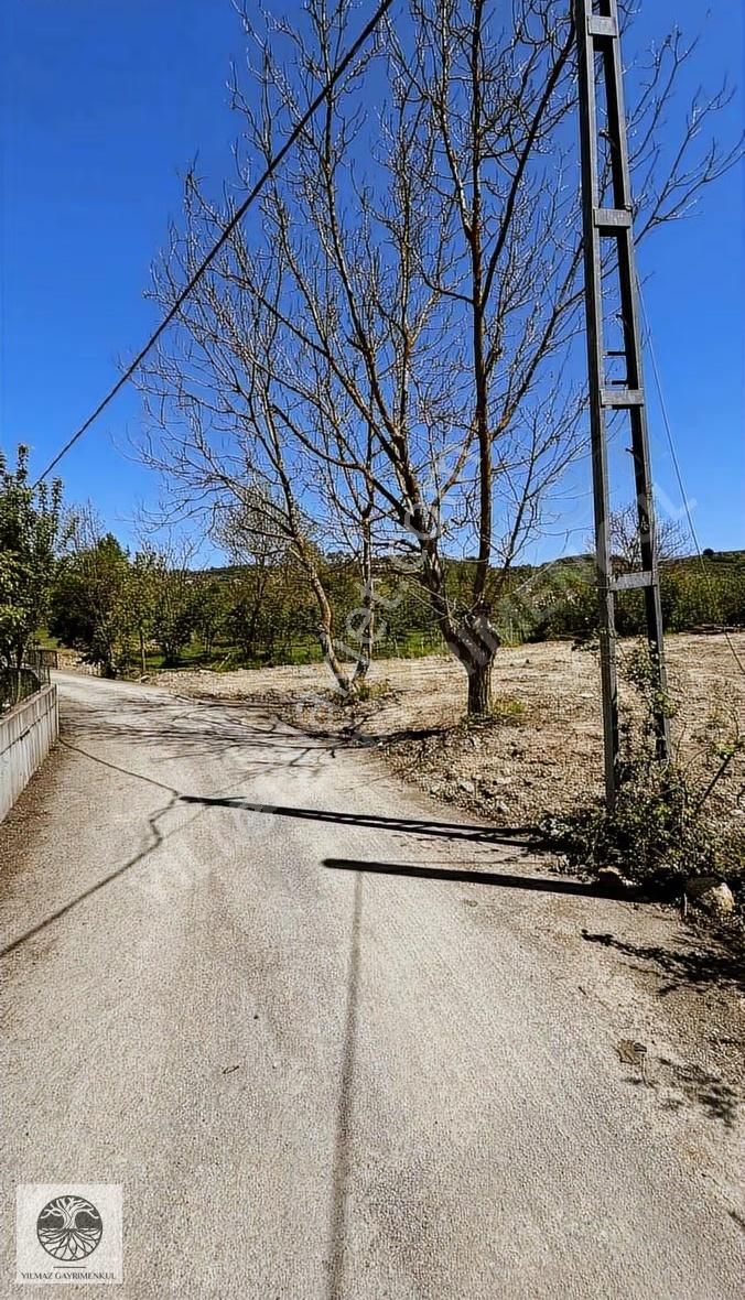 Şile Ağva Çelebi Köy Merkezinde Asfalt Yola Cephe 1394m2 Arazi - Görsel 30