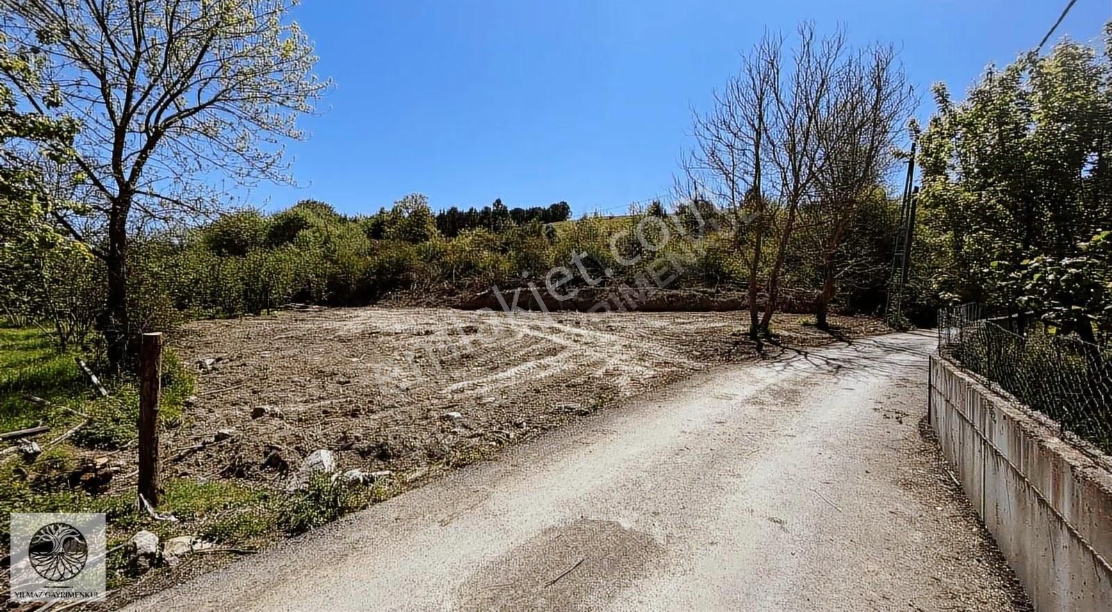 Şile Ağva Çelebi Köy Merkezinde Asfalt Yola Cephe 1394m2 Arazi - Görsel 7