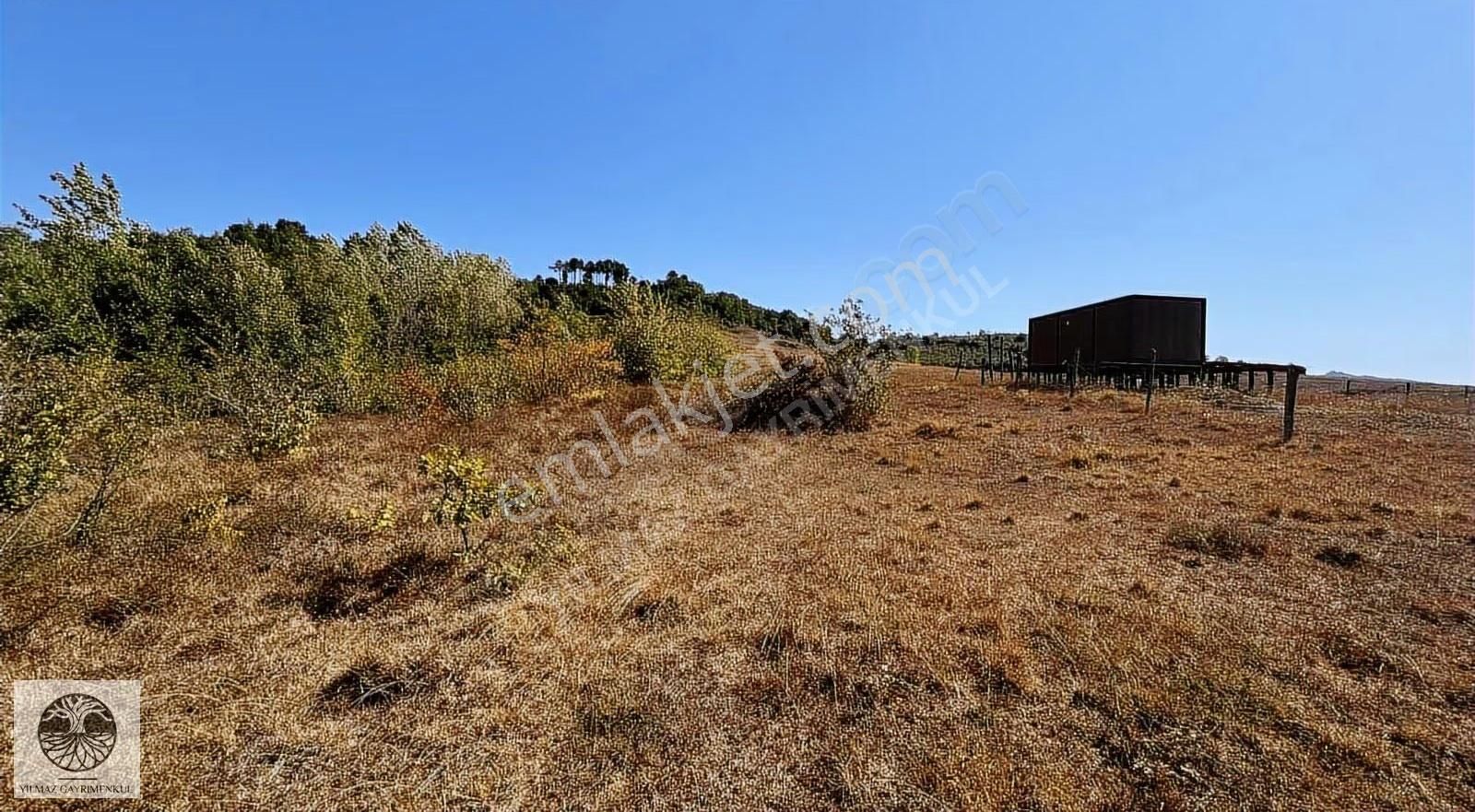 Şile Ağva Çelbiköyünde 905m2 Asfalt Yola Cephe Satılık Arazi - Görsel 2