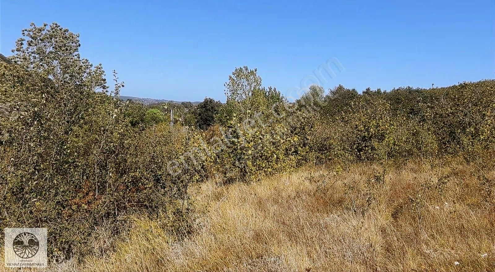 Şile Ağva Çelbiköyünde 905m2 Asfalt Yola Cephe Satılık Arazi - Görsel 12