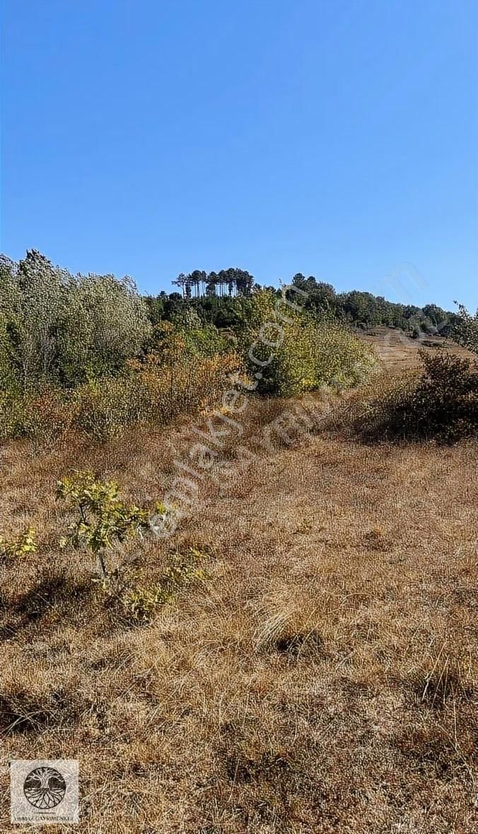 Şile Ağva Çelbiköyünde 905m2 Asfalt Yola Cephe Satılık Arazi - Görsel 7
