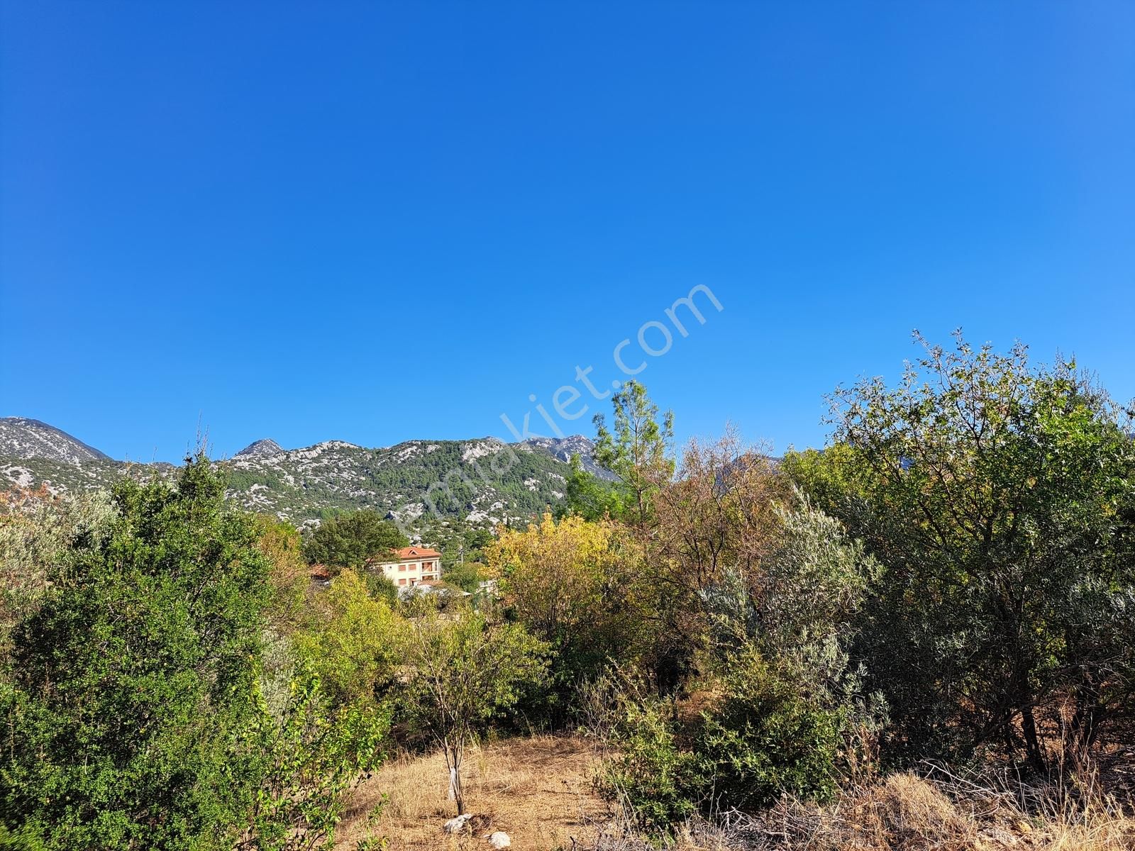 Cemerler Mah. Tek Tapu Tarla Detaylar Açıklamada