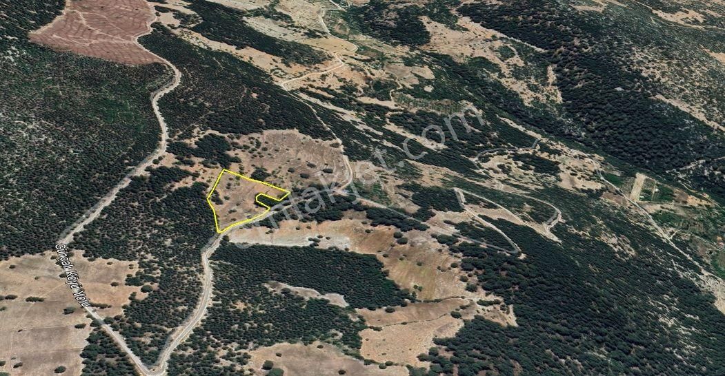 Fınıke Ernez'de Ana Yola Yakın Fırsat Arazı - Görsel 3